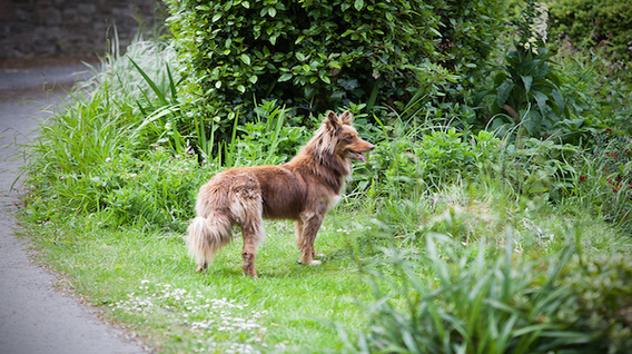 Copy_of_LYCETTE_BIDNA_HOUSE_093